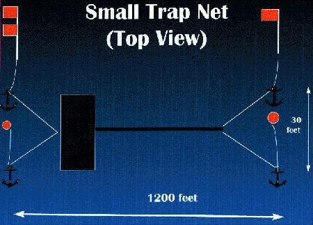 small trapnet