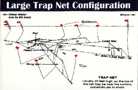 large trapnet layout