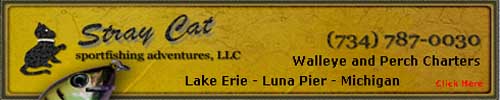 Stray Cat Charter Fishing LLC Phone 734-787-0030