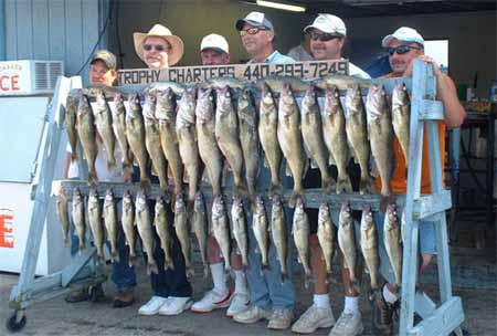 port clinton walleye fishing charter